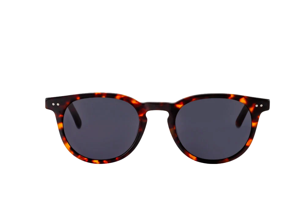 Clarke Sunglasses (Grey)