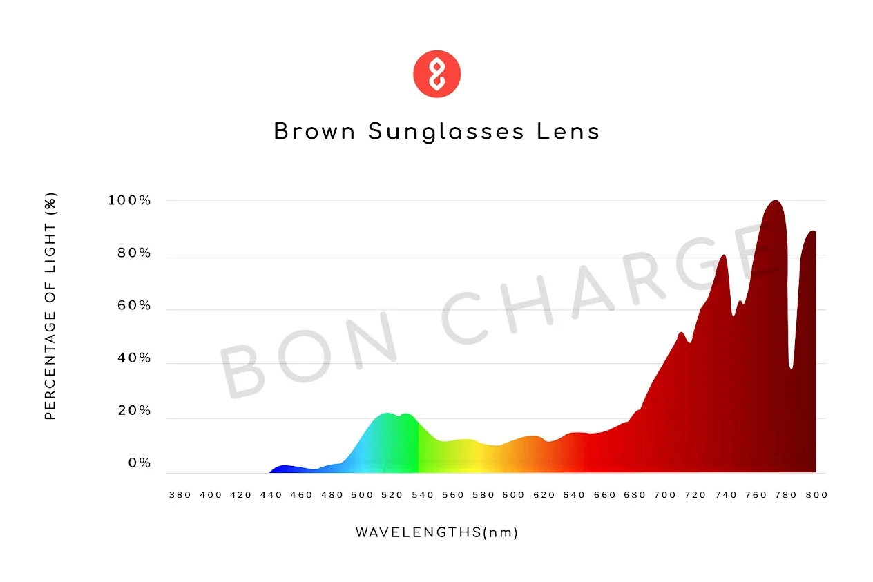 Echo Sunglasses (Brown) - Image 5