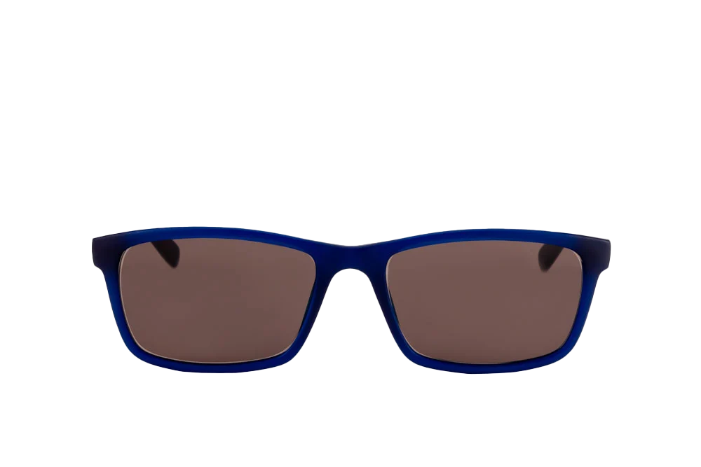 Hudson Sunglasses (Brown)