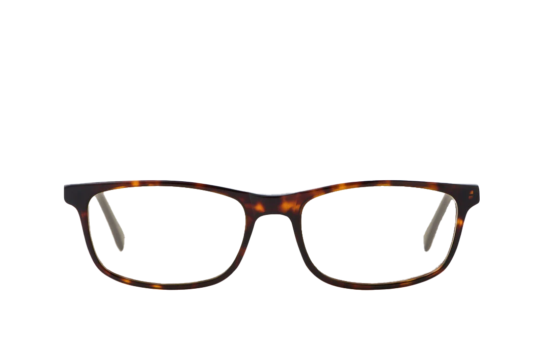 Tortoise Shell Computer Glasses Prescription